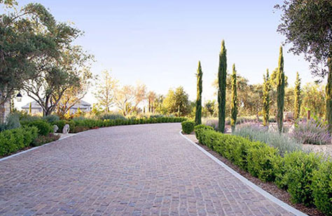 a brick path with trees and bushes