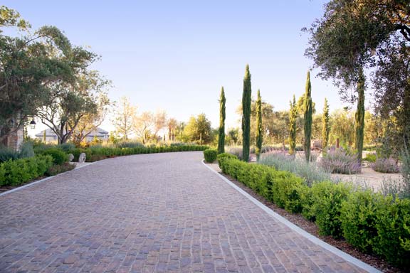 a brick path with trees and bushes